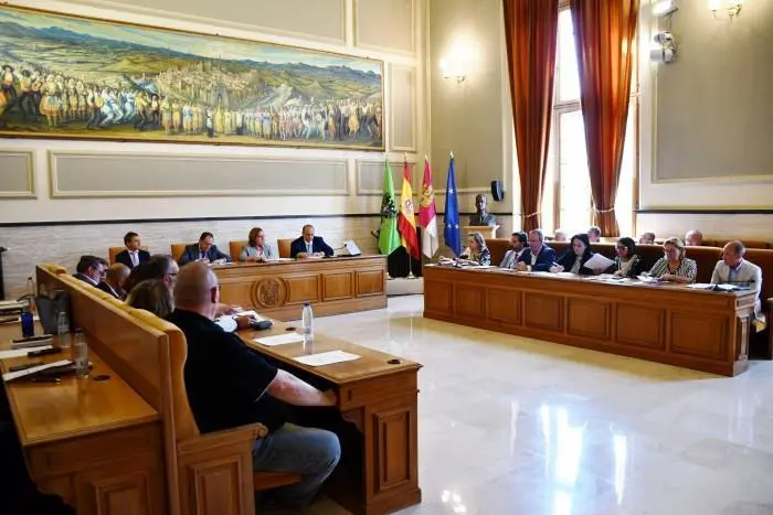 Pleno Diputación