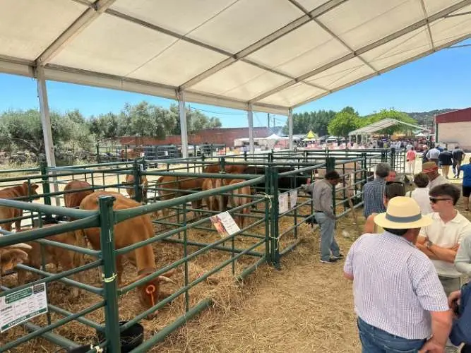 Segurilla ferias