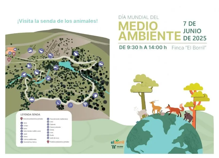 cartel dia mundial del medio ambiente