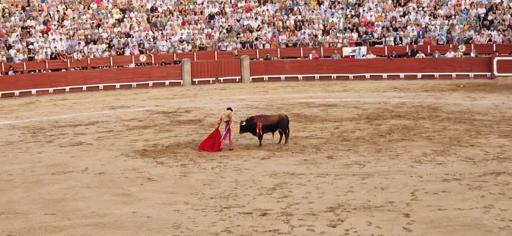 Toros Toledo Corpus 2025