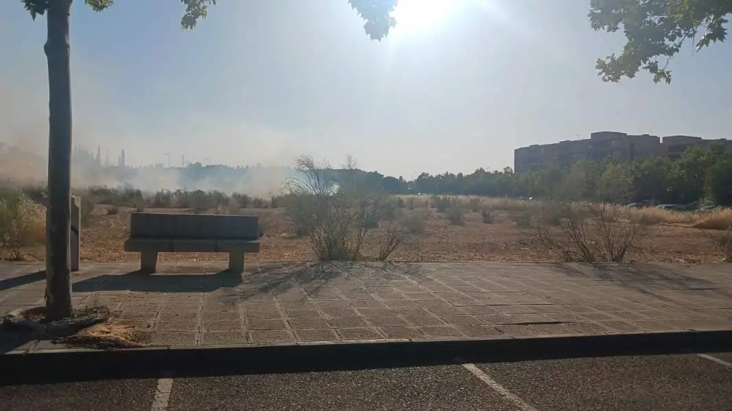 Rotonda de los conejos