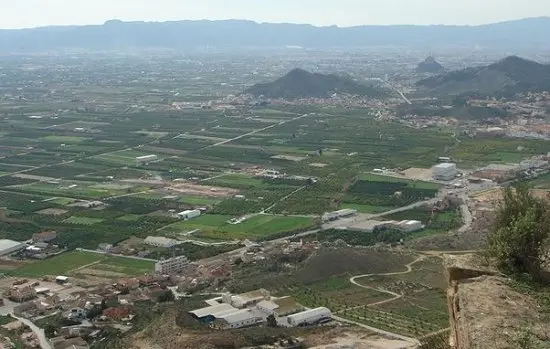 Huerta murciana 2