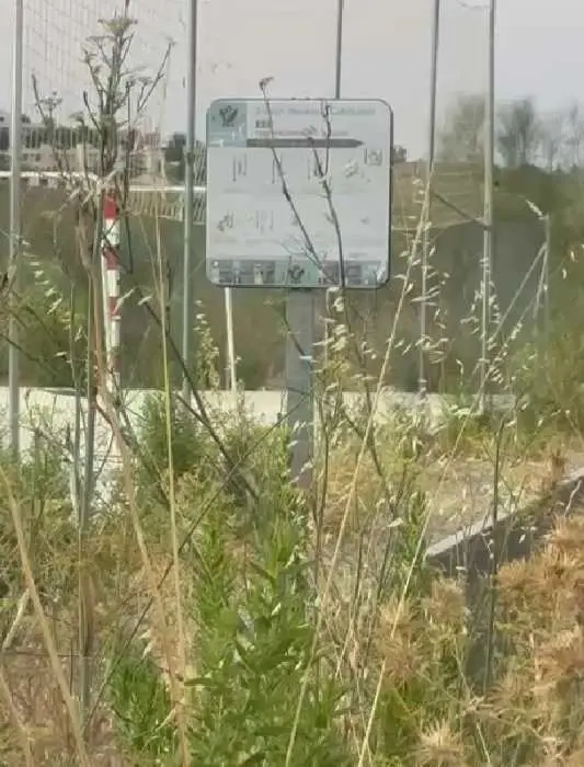FOTO-Instalaciones-Deportivas-La-Legua-1