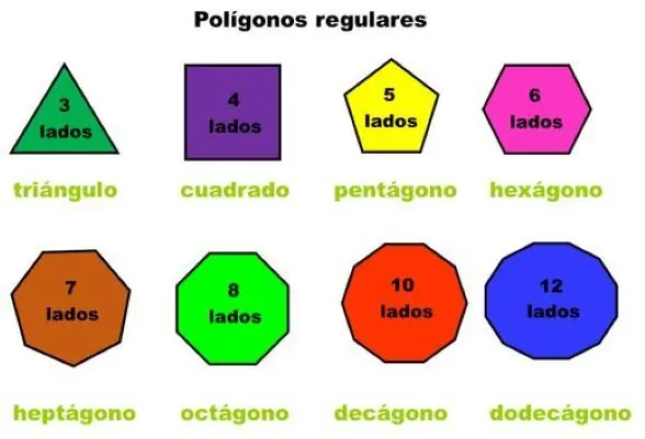 Polígonos