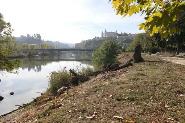 Proyecto Renace Tajo