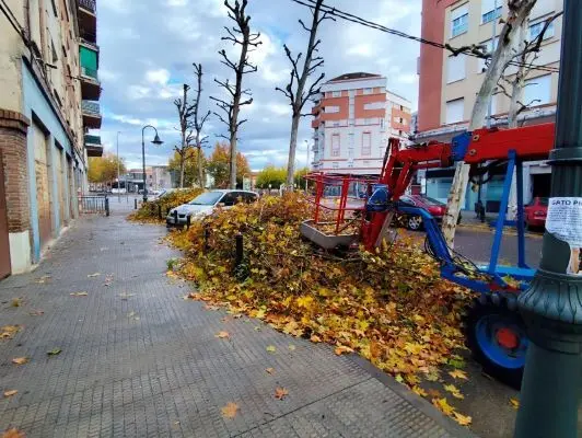 Fotografia-podas-drasticas-1-1536x1154