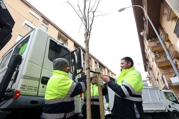 plantacion-santa-teresa