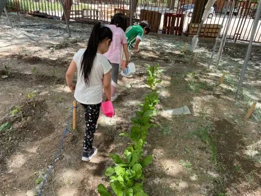 huertos escolares