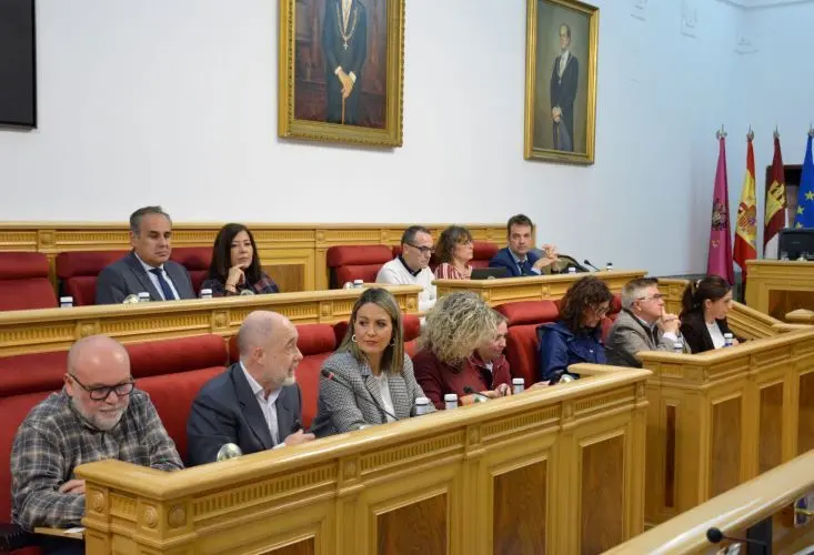 Pleno ayuntamiento