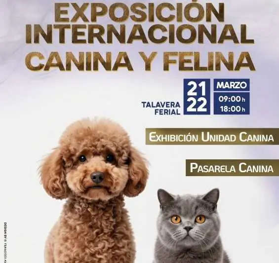 Exposici&oacute;n canina