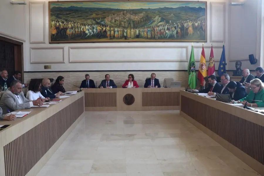 pleno Diputaci&oacute;n