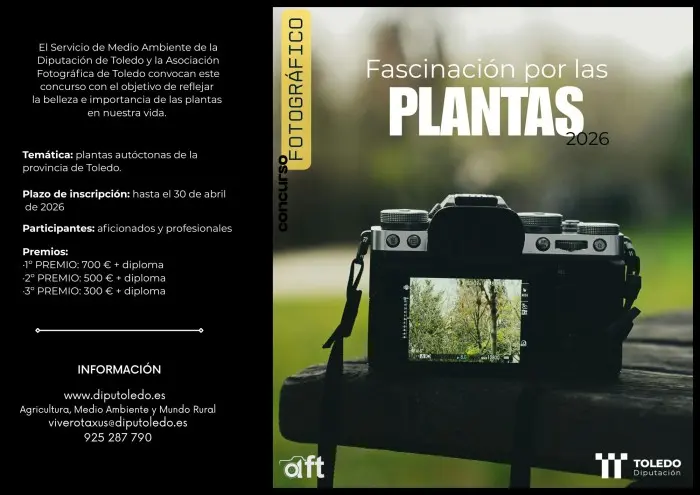 Plantas