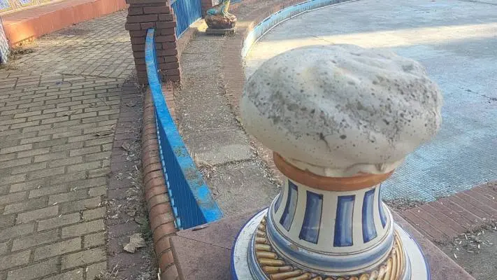 Patos
