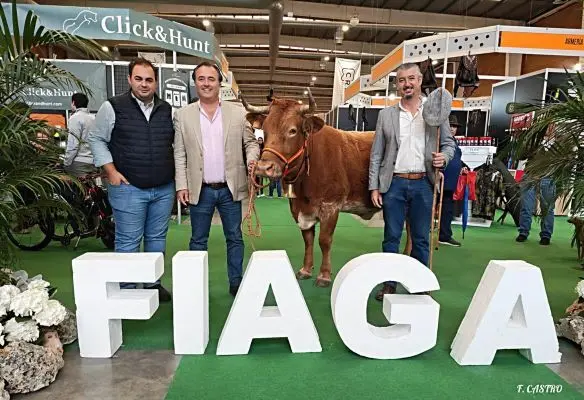 Fiaga