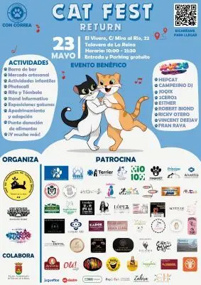 Cat fest