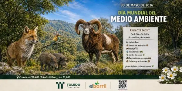 D&iacute;a Medio ambiente