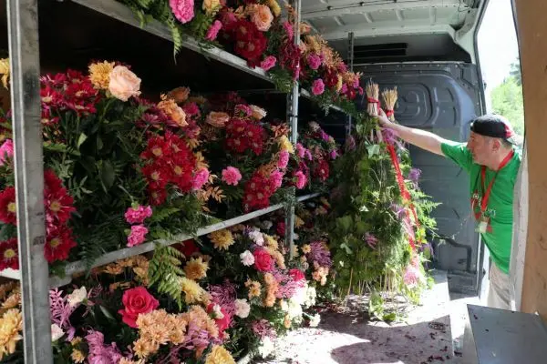 Flores