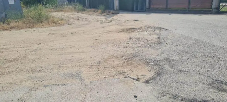 Baches