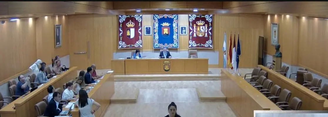Pleno PSOE