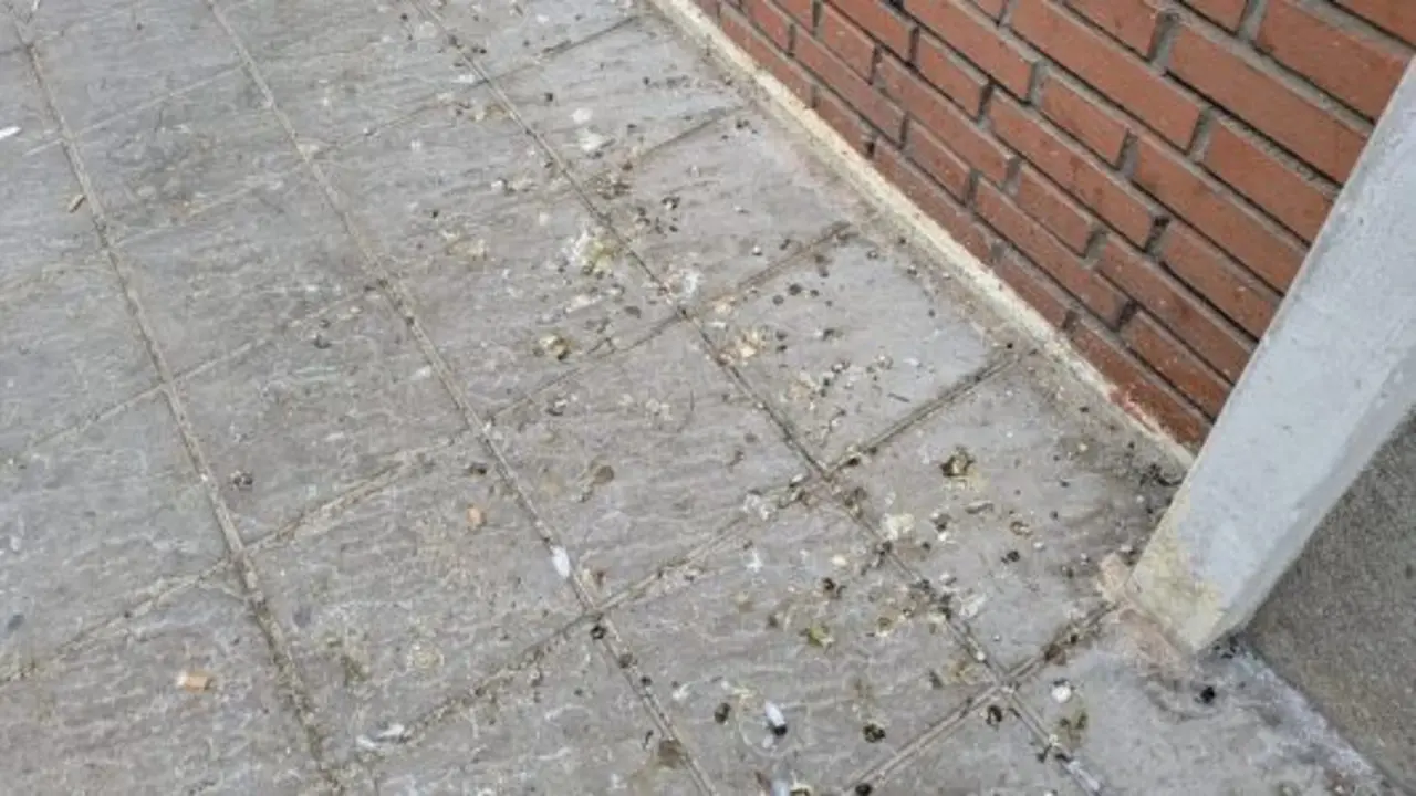 Suciedad en las calles