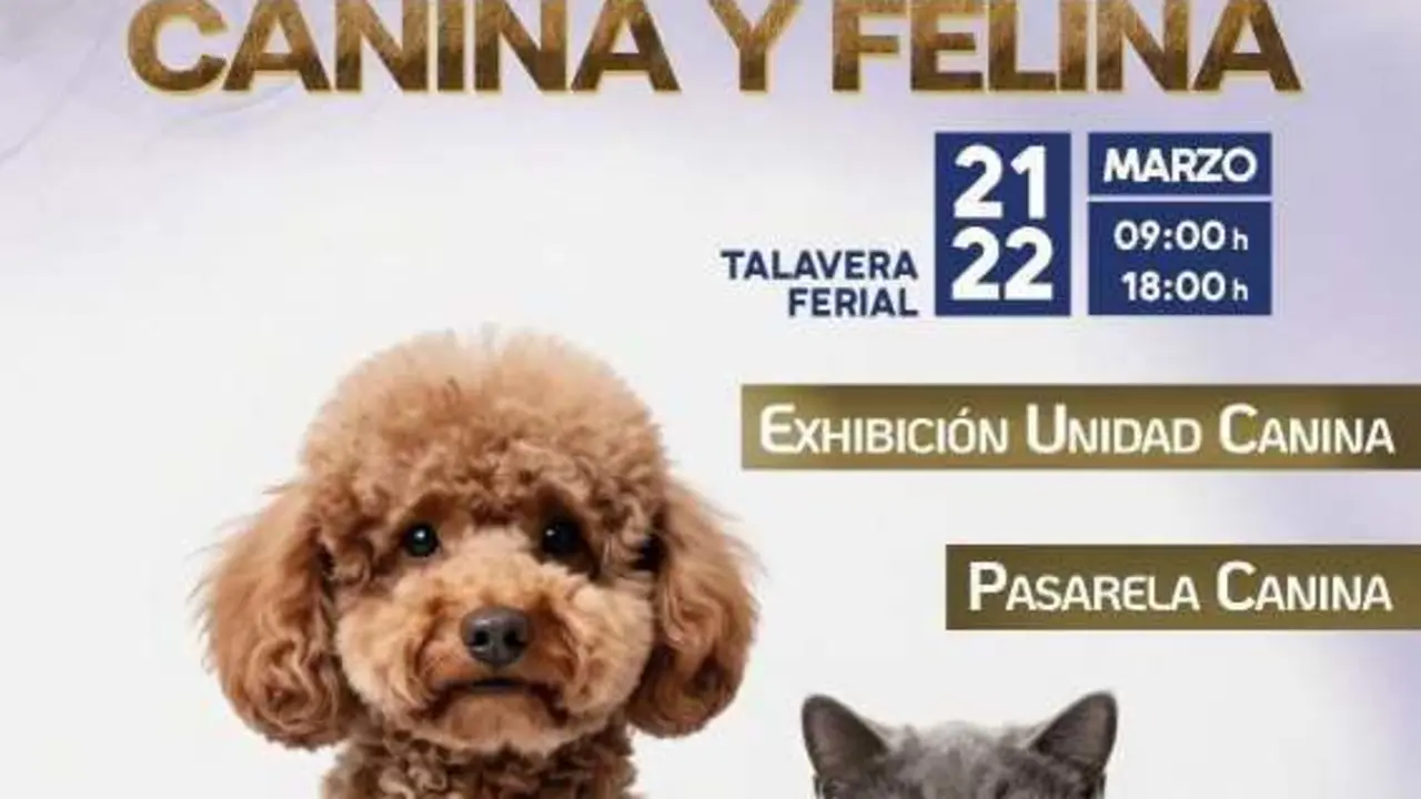 Exposici&oacute;n canina