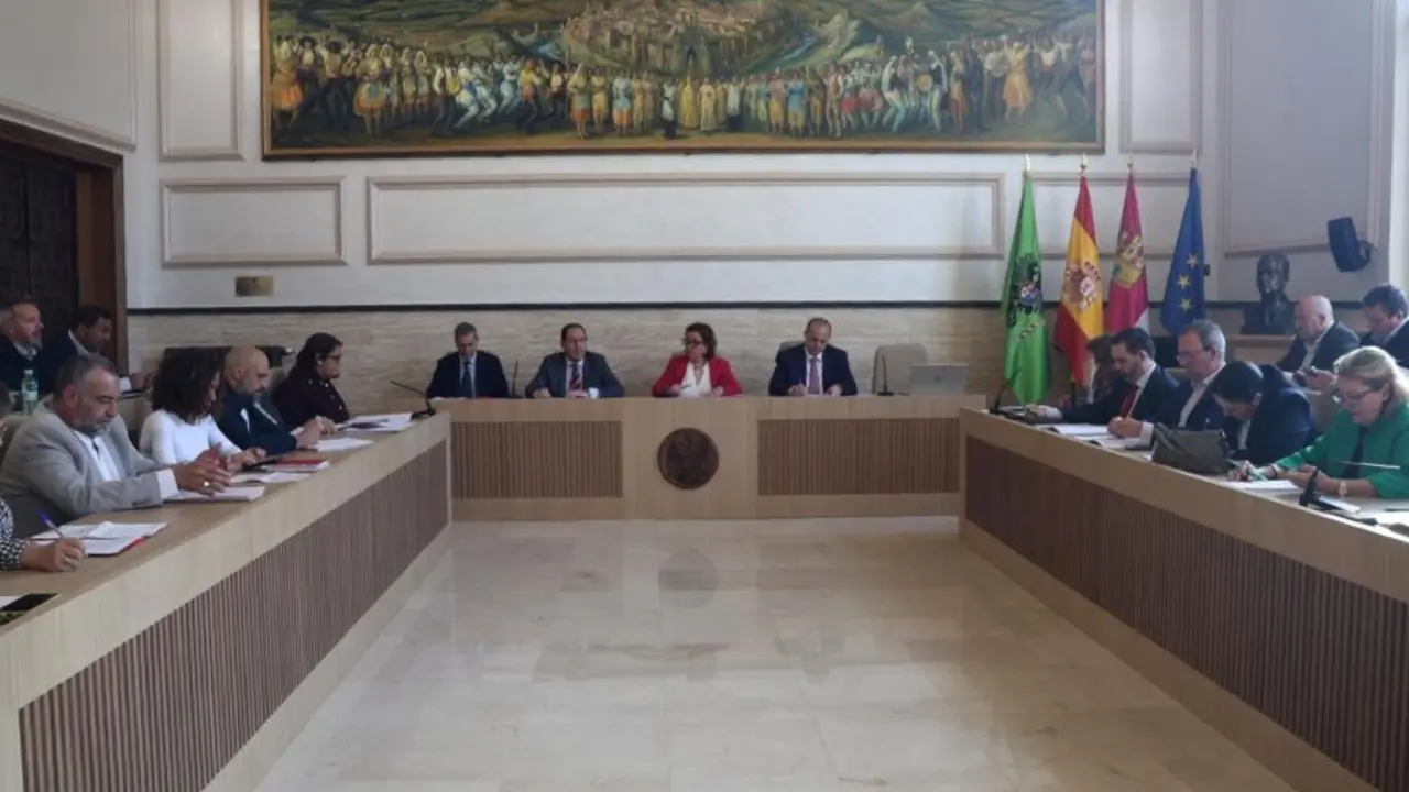 pleno Diputaci&oacute;n