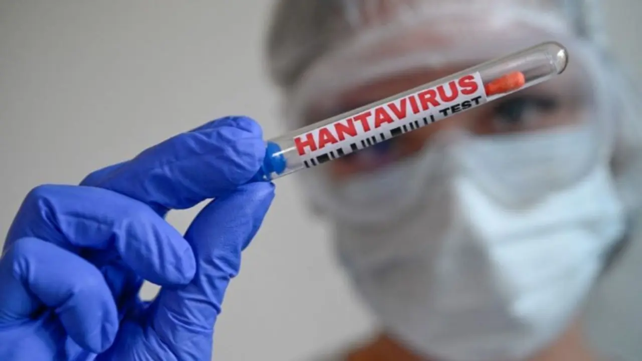 Hantavirus