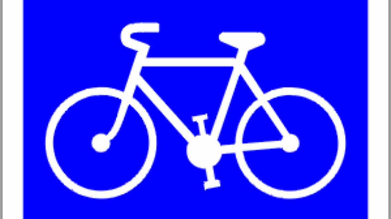 Carril bici
