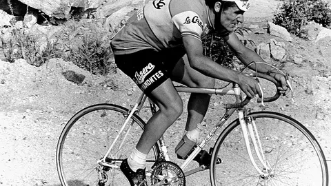 Bahamotes 4495_16914783928807