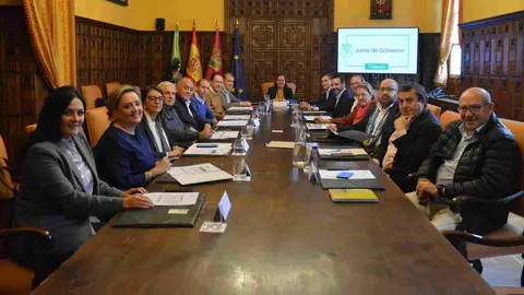Pleno de la Diputación