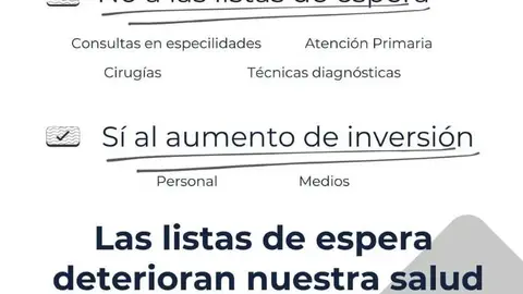 Concentración 15 de febreo Plaza de Zocodover. Toledo por la sanidad pública