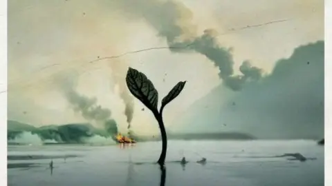 Semillas de Kivú portada 11