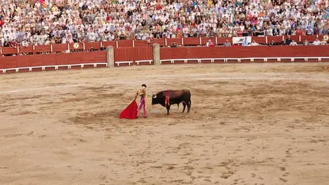 Toros Toledo Corpus 2025