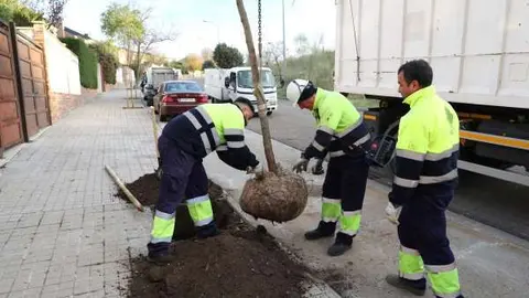 plantacion-4.06-12-25-1200x800