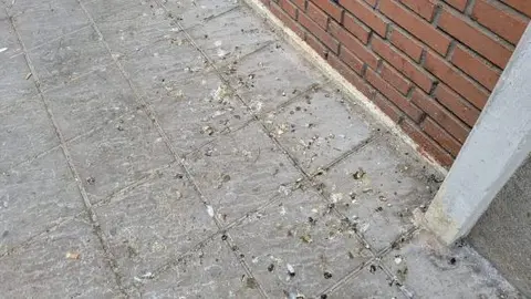 Suciedad en las calles