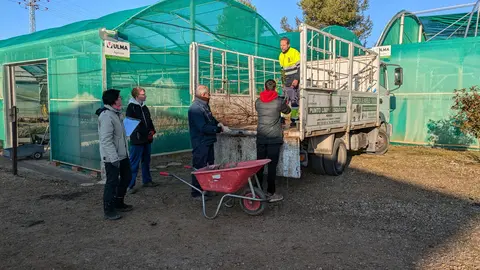 diputacion-reparte-mas-de-25.000-arboles-y-arbustos-a-los-municipios-toledanos