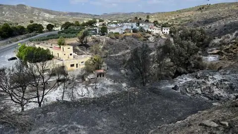 Paisaje desolador en Los Gallardos