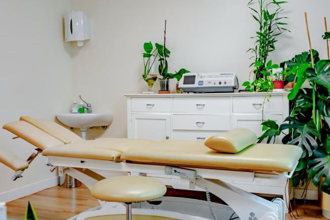 Camillas de tratamientos